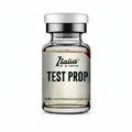Test Prop