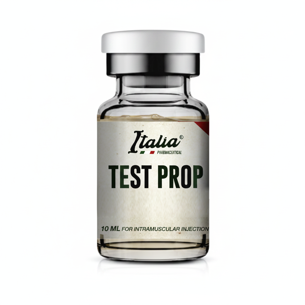 Test Prop