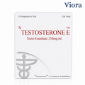 Testosterone P – Testo-Propionate 250mg/ml
