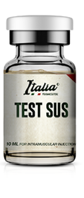 Testsus