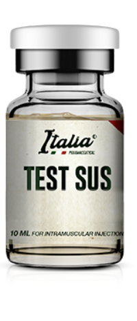 Testsus